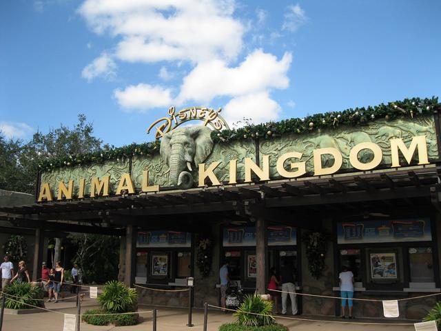 Disney's Animal Kingdom